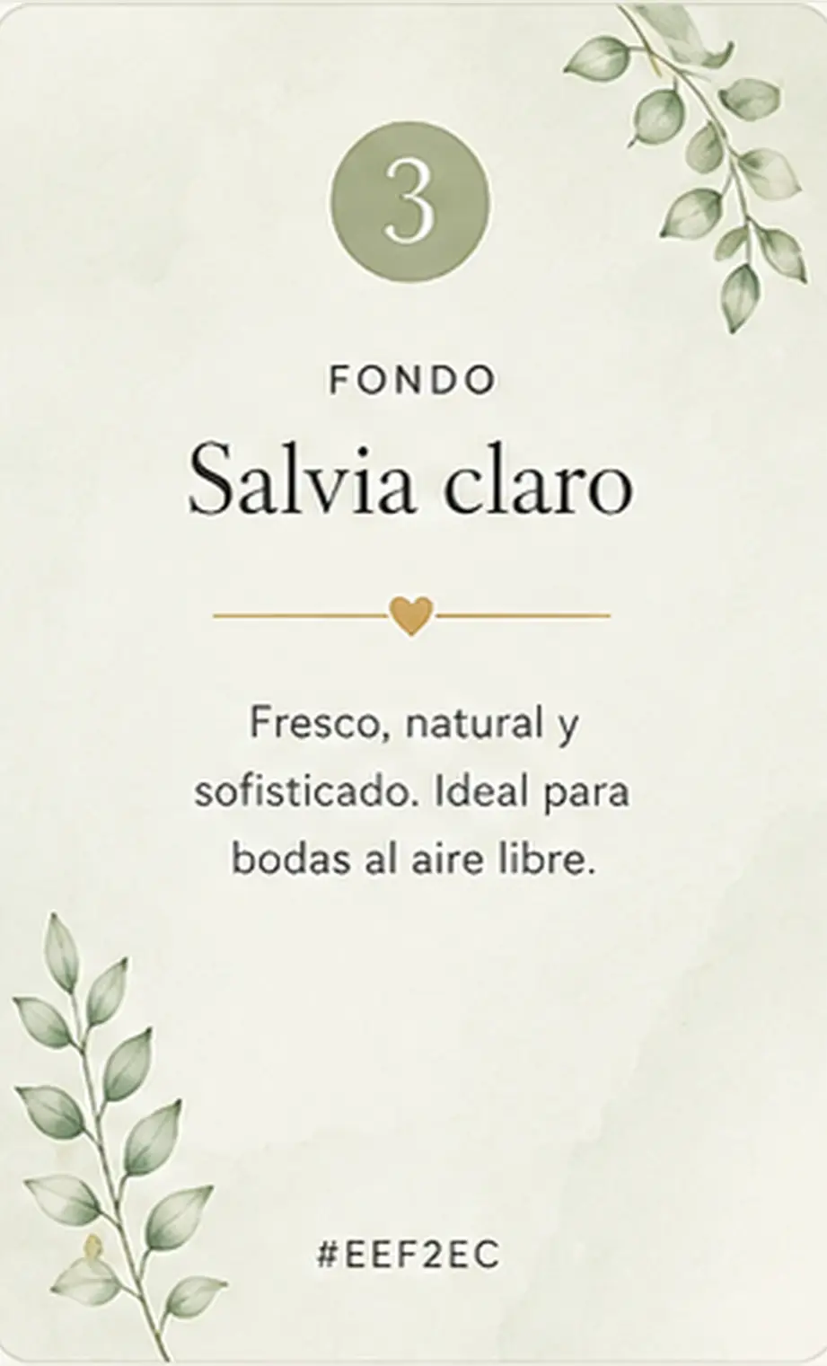 fon3 - Salvia claro